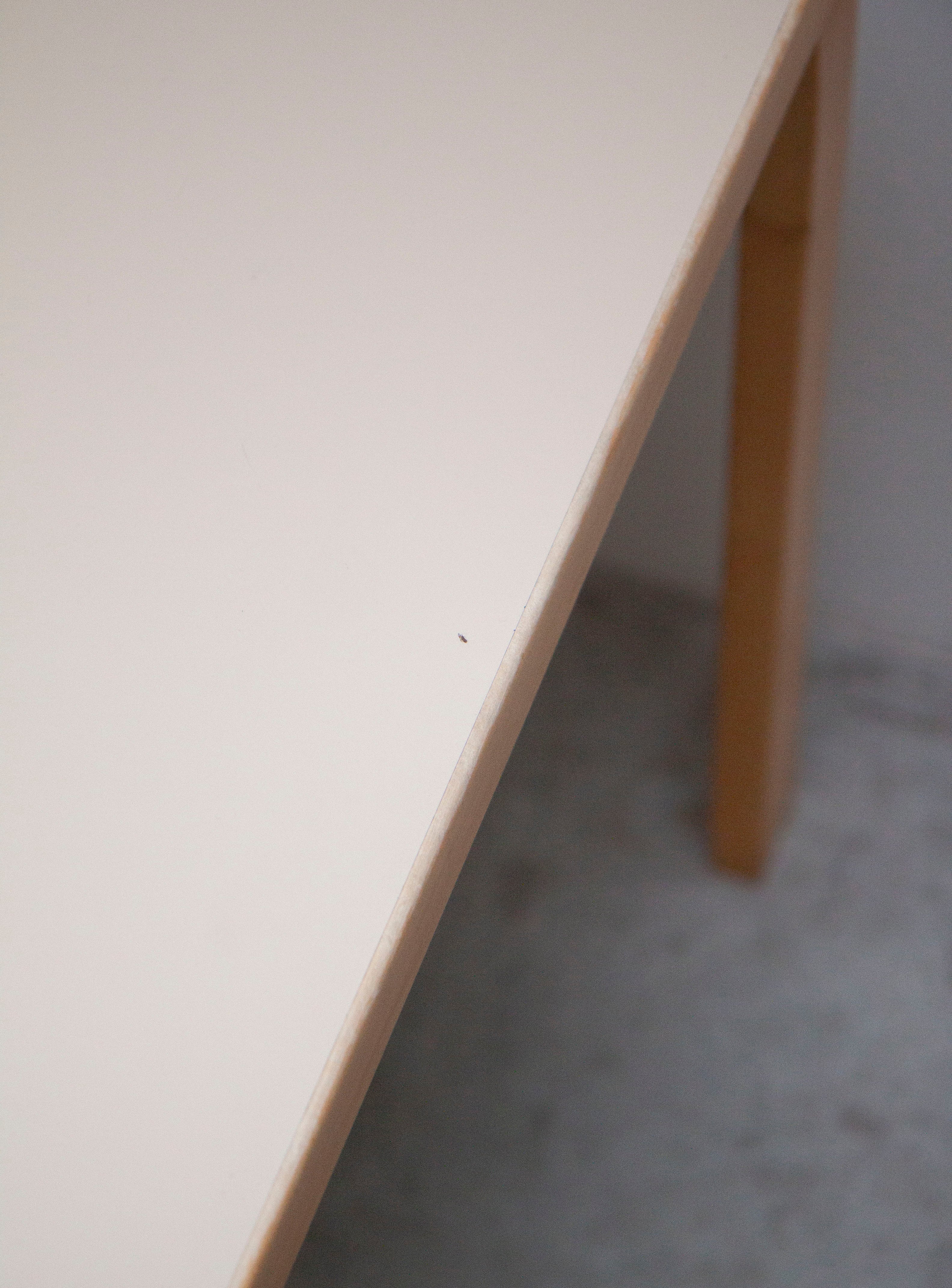 Artek 81C Dining Table by Alvar Aalto (Beige) - Image 12