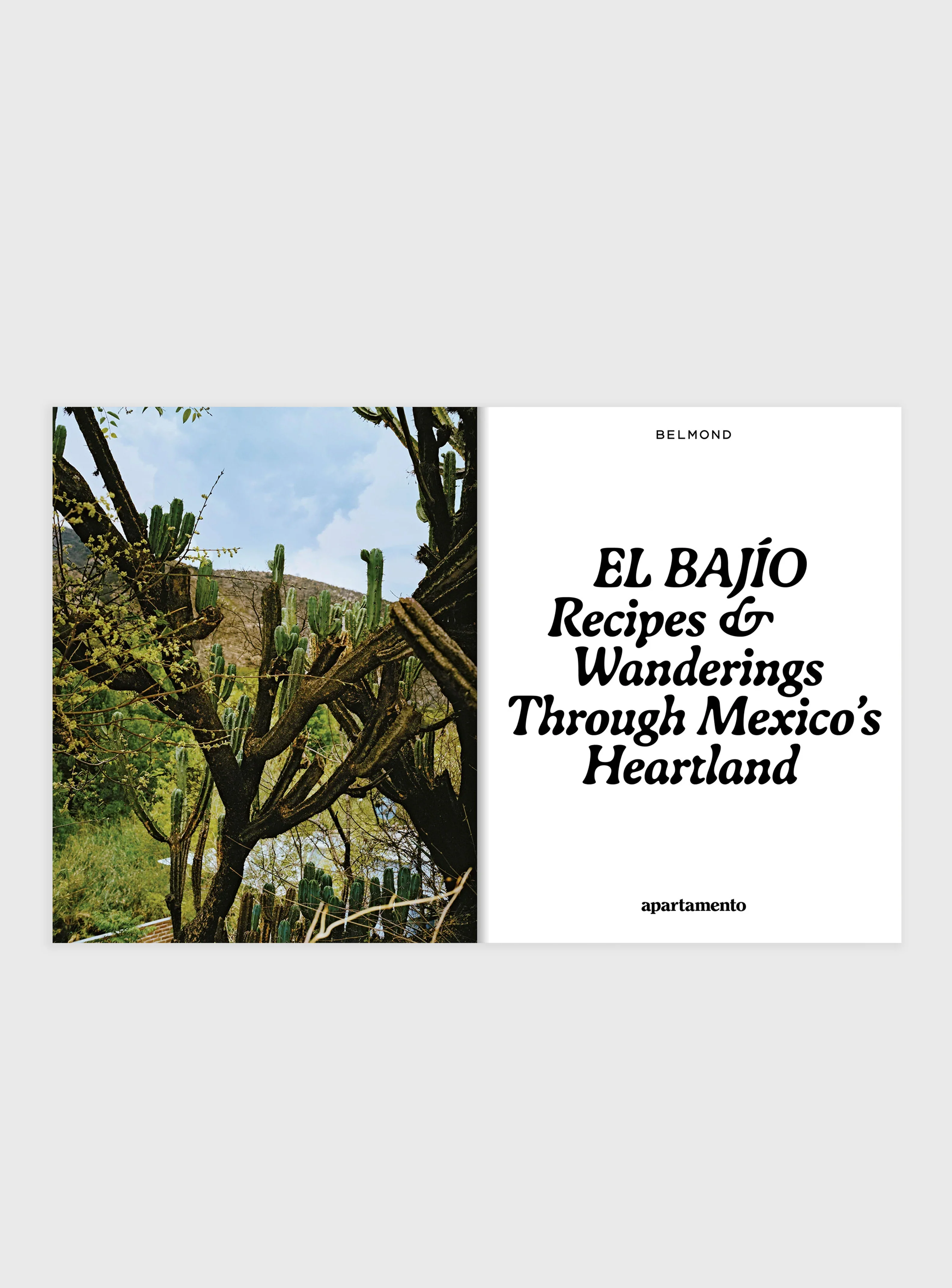 EL BAJÍO: Recipes & Wanderings Through Mexico’s Heartland - Image 7