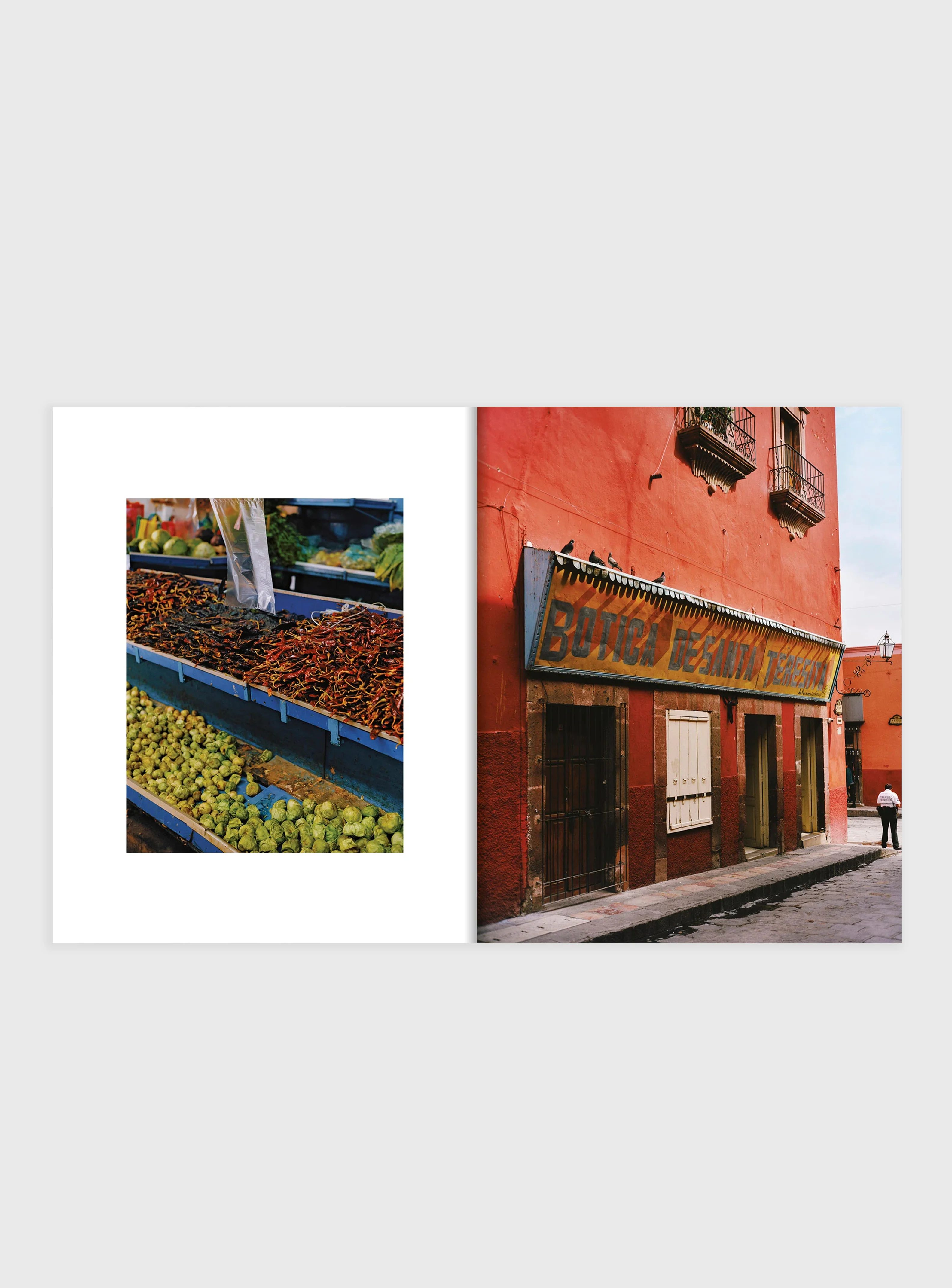 EL BAJÍO: Recipes & Wanderings Through Mexico’s Heartland - Image 9