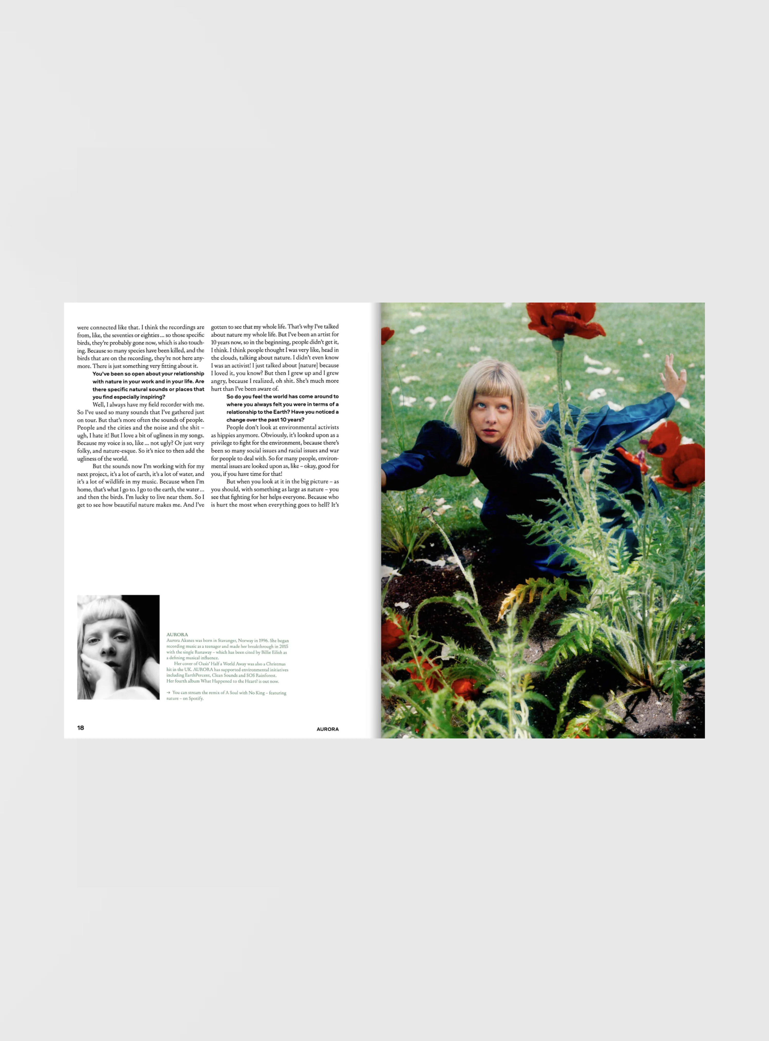 Imagine5 Magazine #3 - Image 3