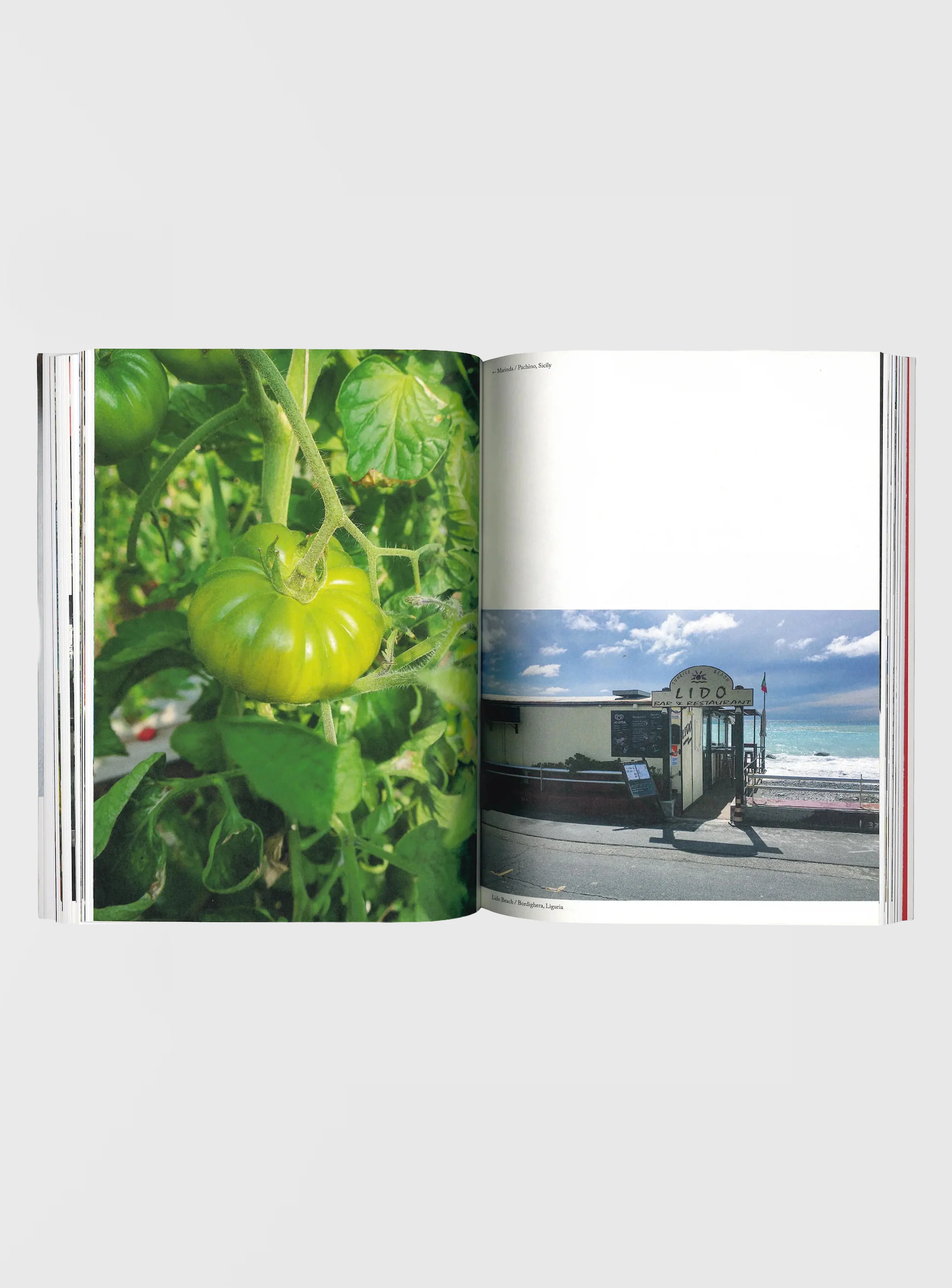Osteria 16: Easy Pasta - Image 6