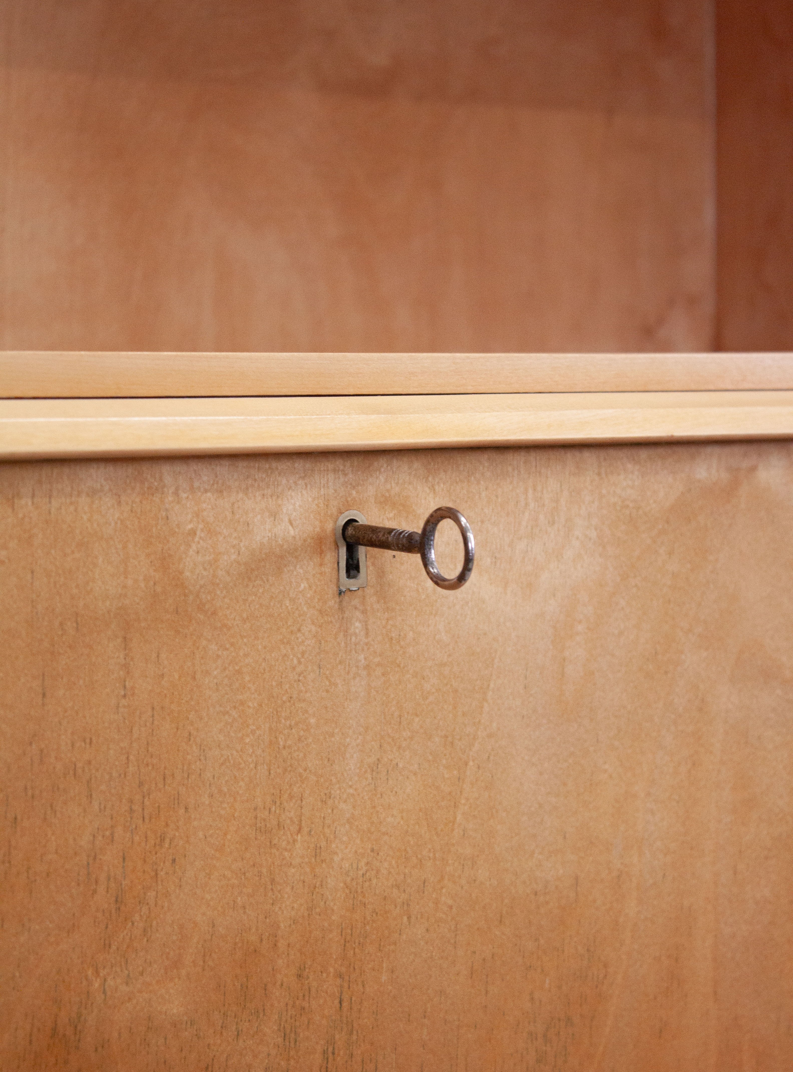 Pastoe BB54 Secretary Cabinet by Cees Braakman - Image 28