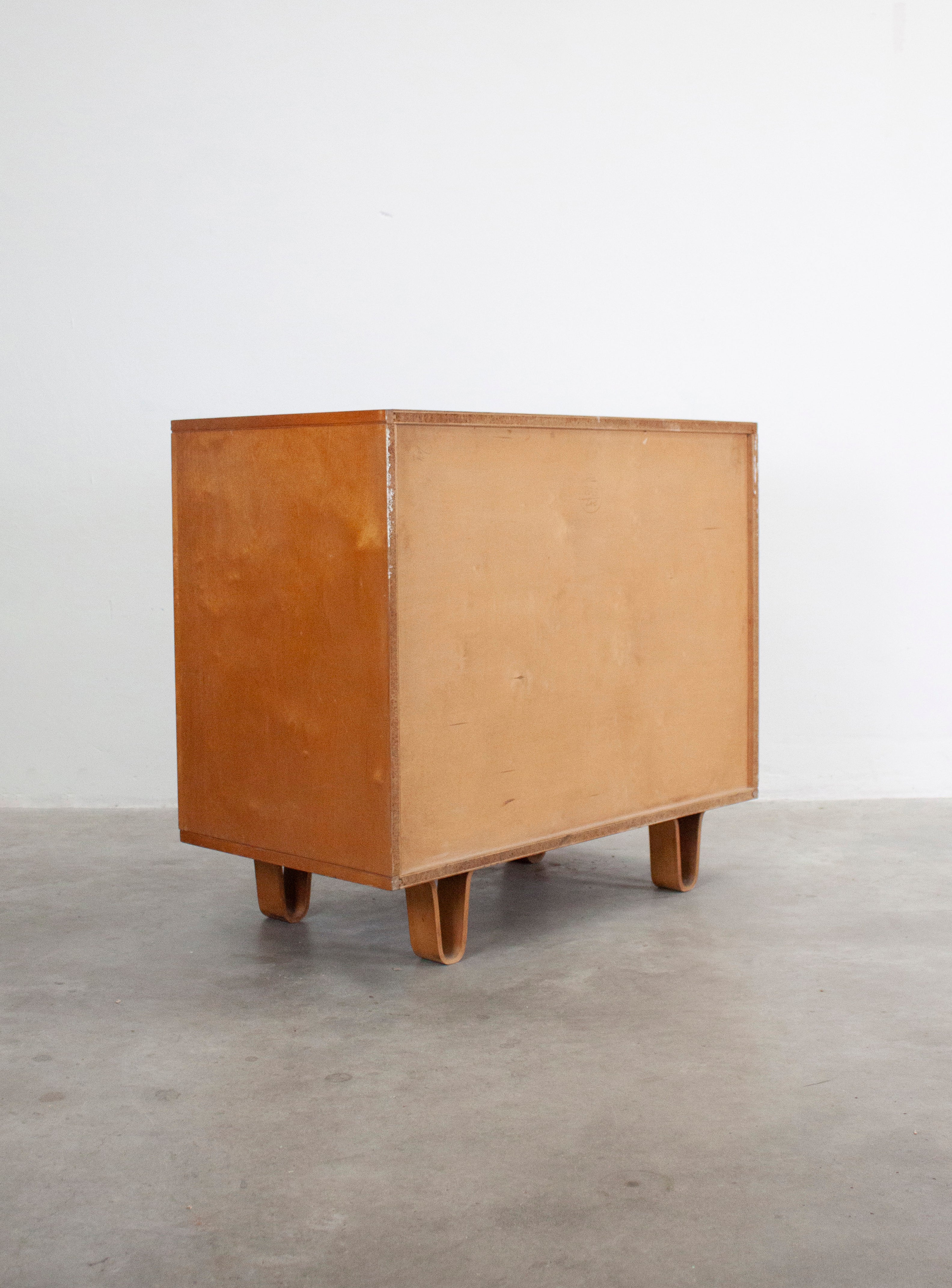 Pastoe CB02 Cabinet by Cees Braakman - Image 15