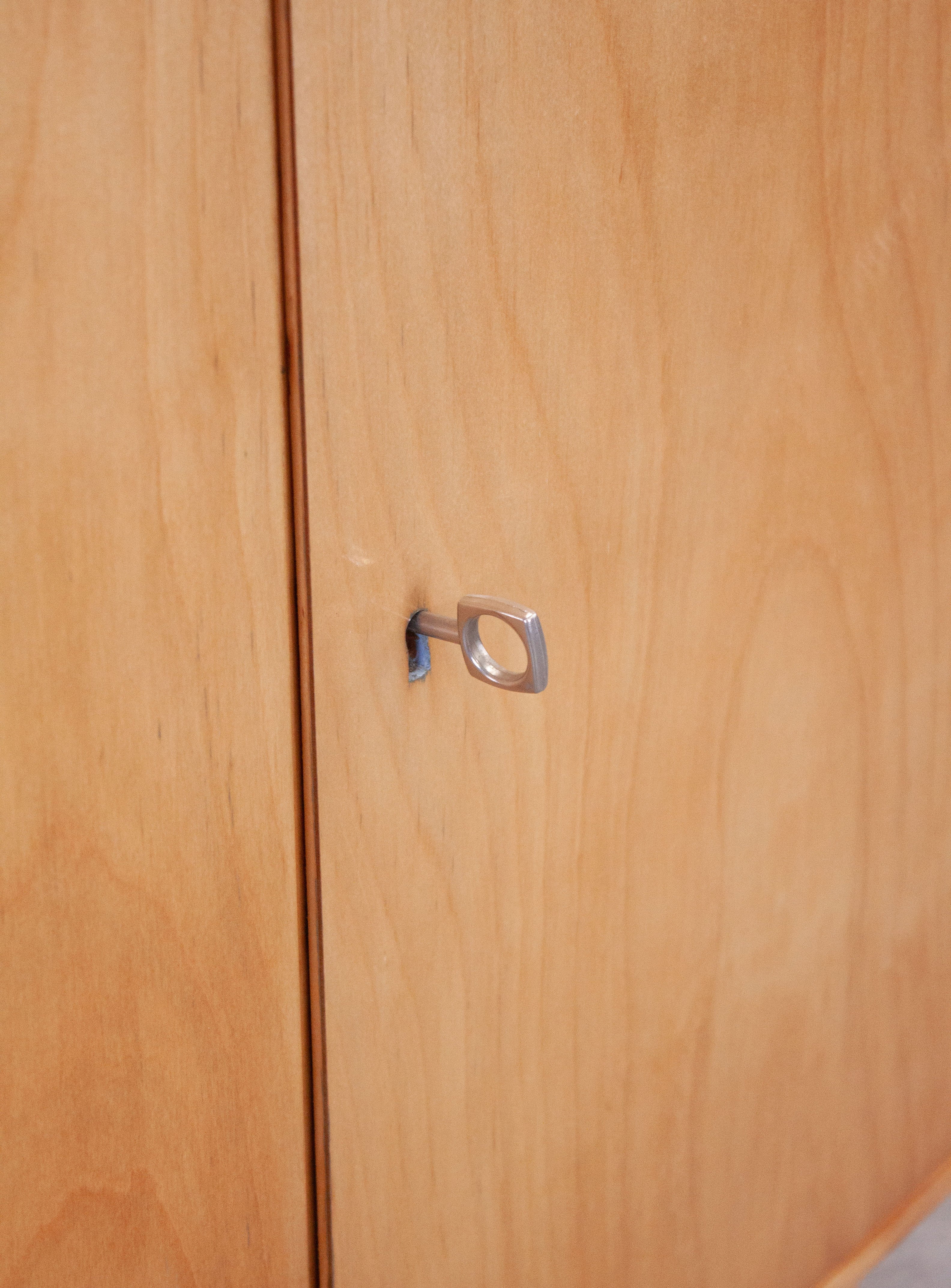 Pastoe CB02 Cabinet by Cees Braakman - Image 24