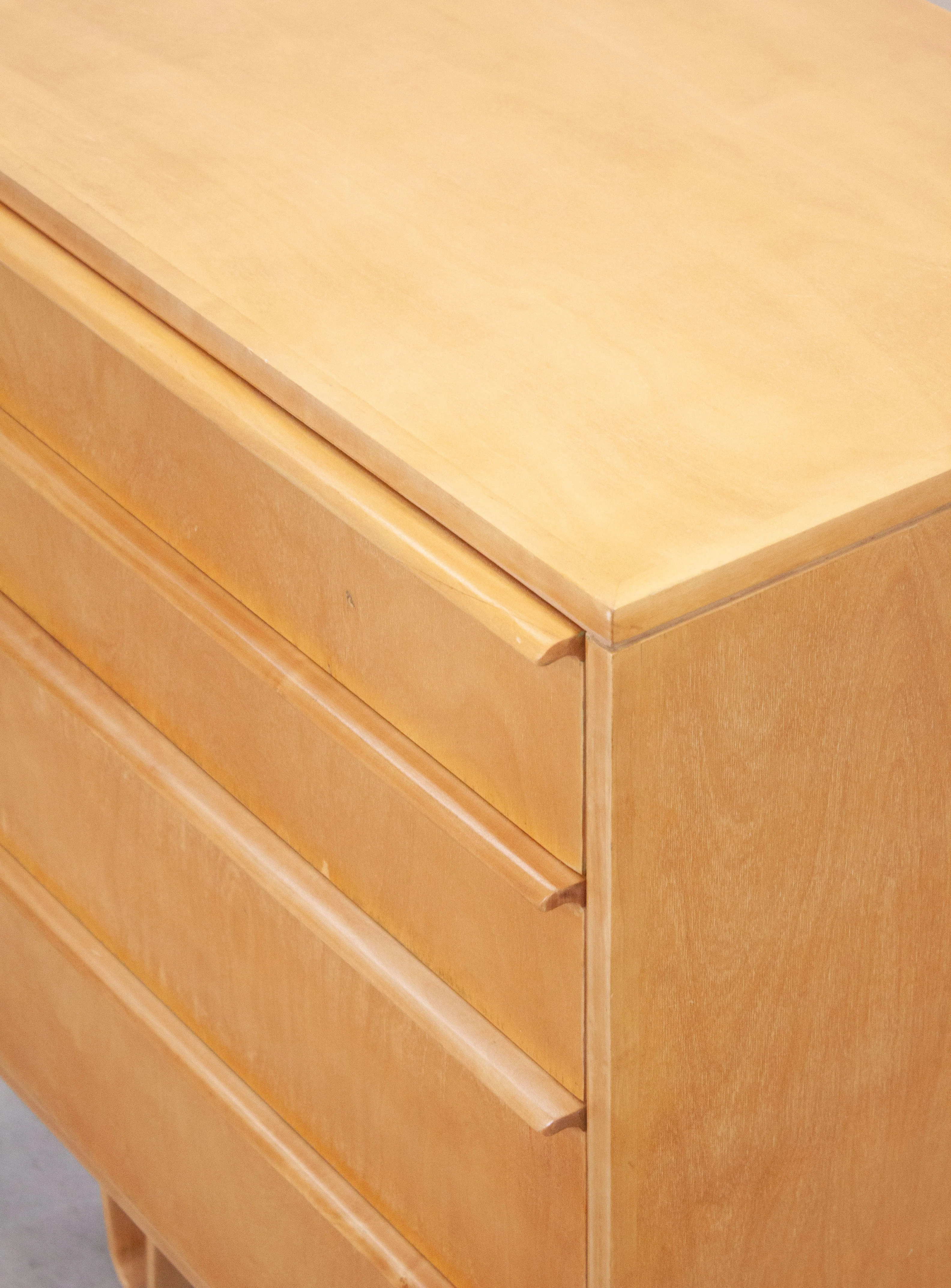 Pastoe CB05 Chest of Drawers by Cees Braakman - Image 12