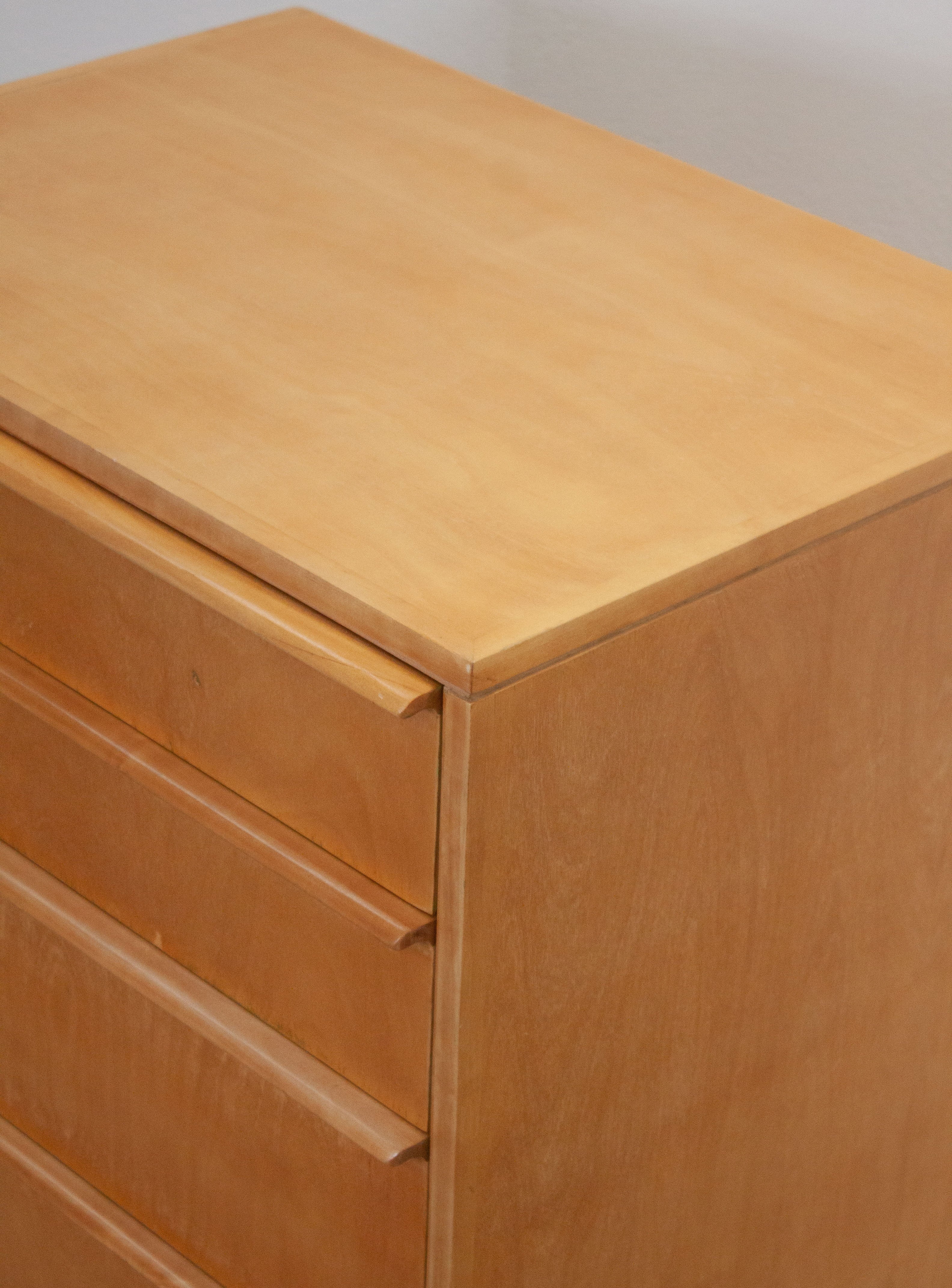 Pastoe CB05 Chest of Drawers by Cees Braakman - Image 13