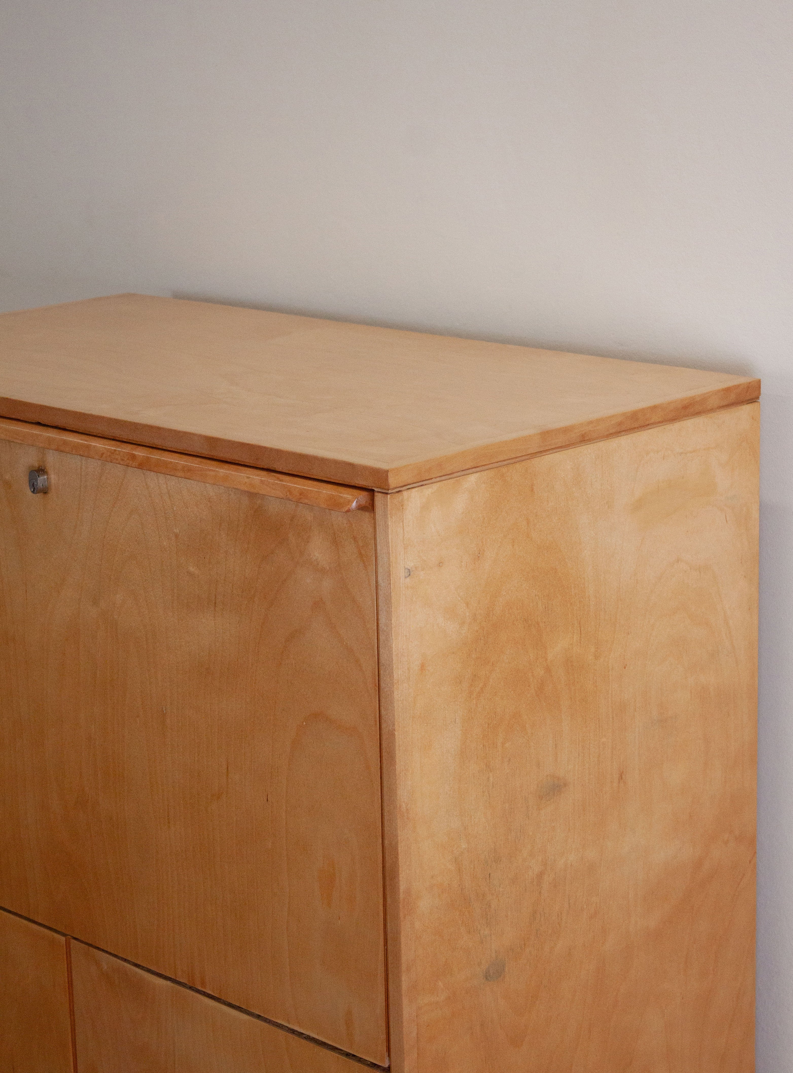 Pastoe CB07 Secretary Cabinet by Cees Braakman - Image 25