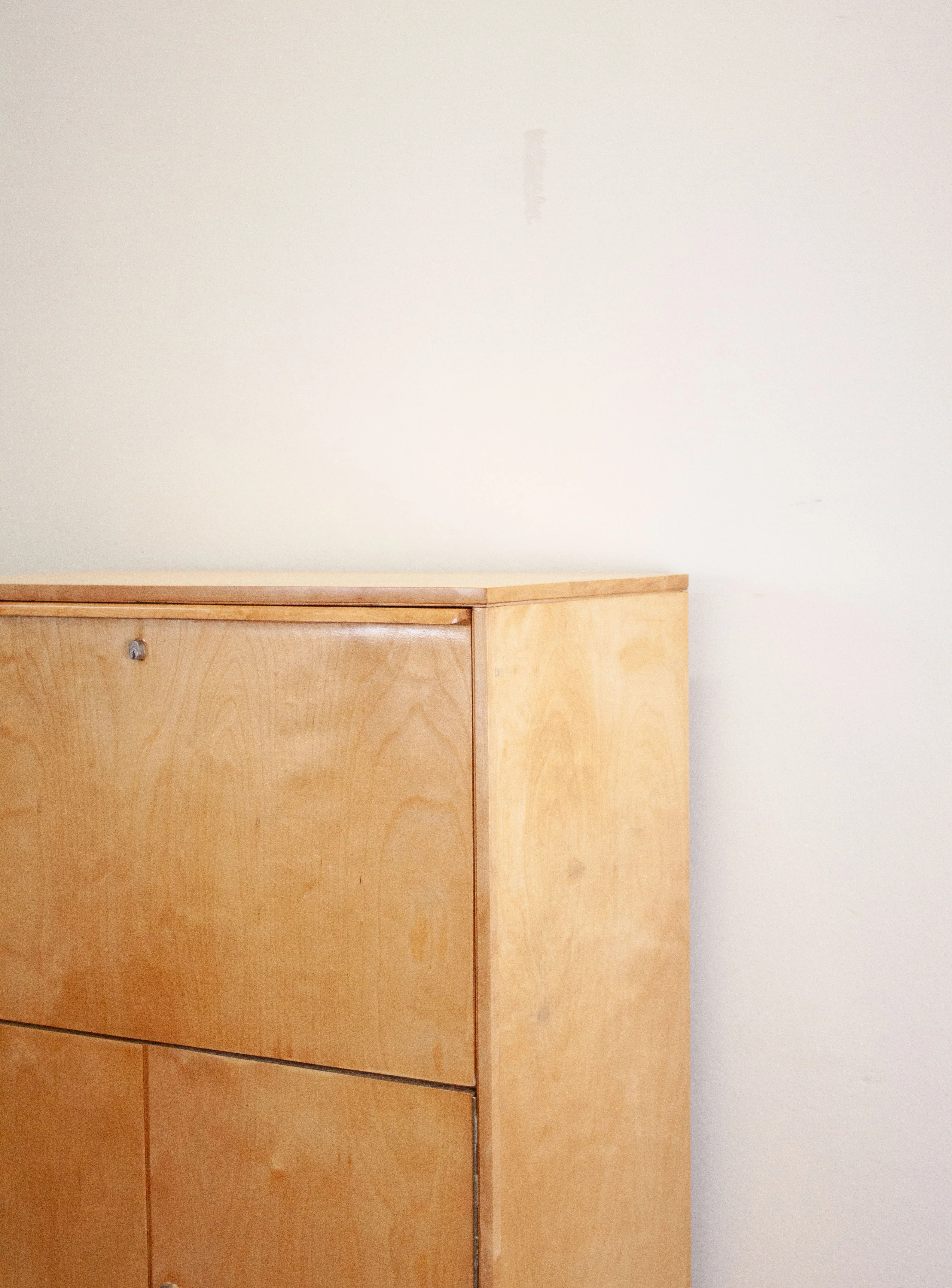 Pastoe CB07 Secretary Cabinet by Cees Braakman - Image 26