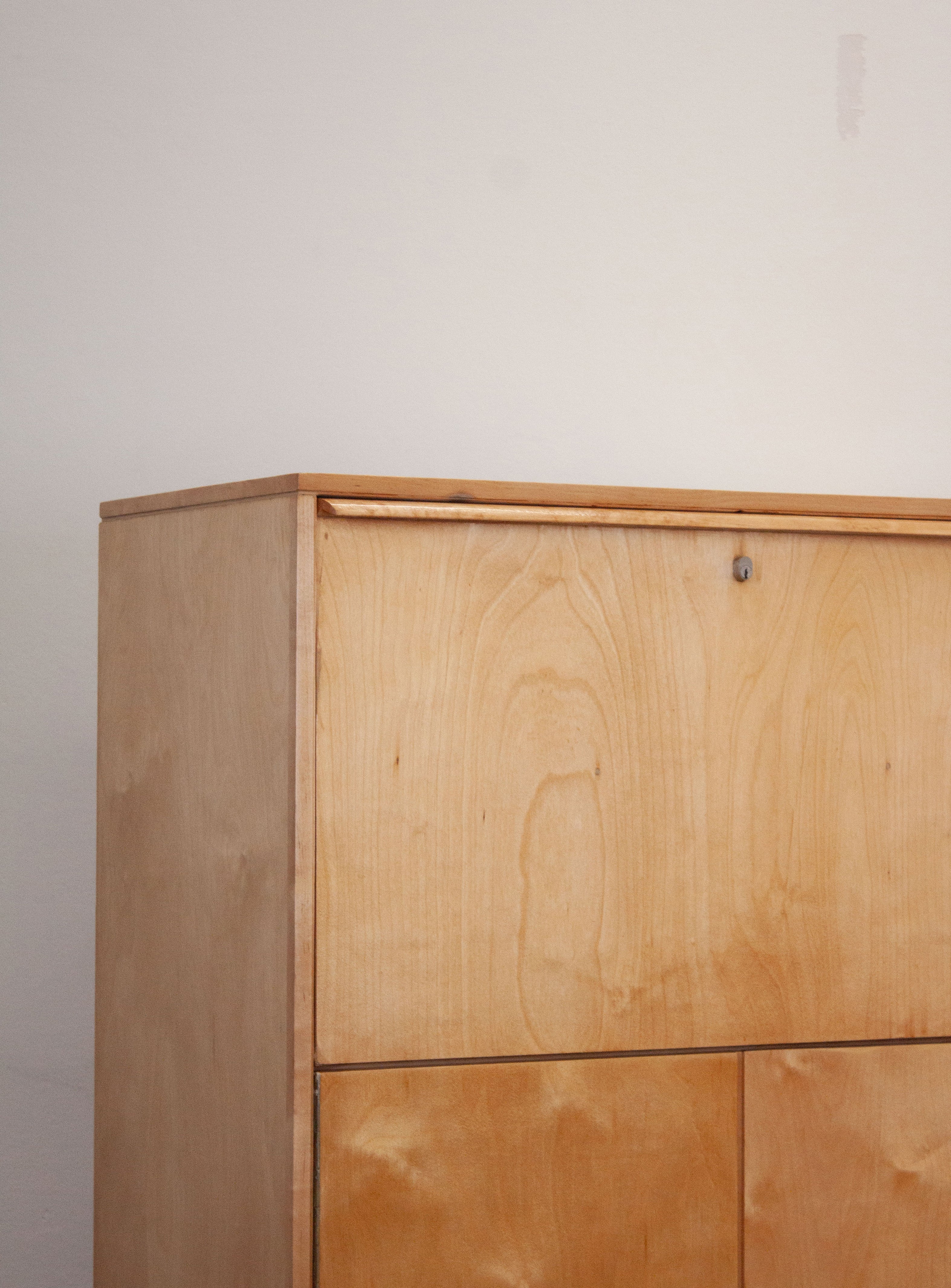 Pastoe CB07 Secretary Cabinet by Cees Braakman - Image 28