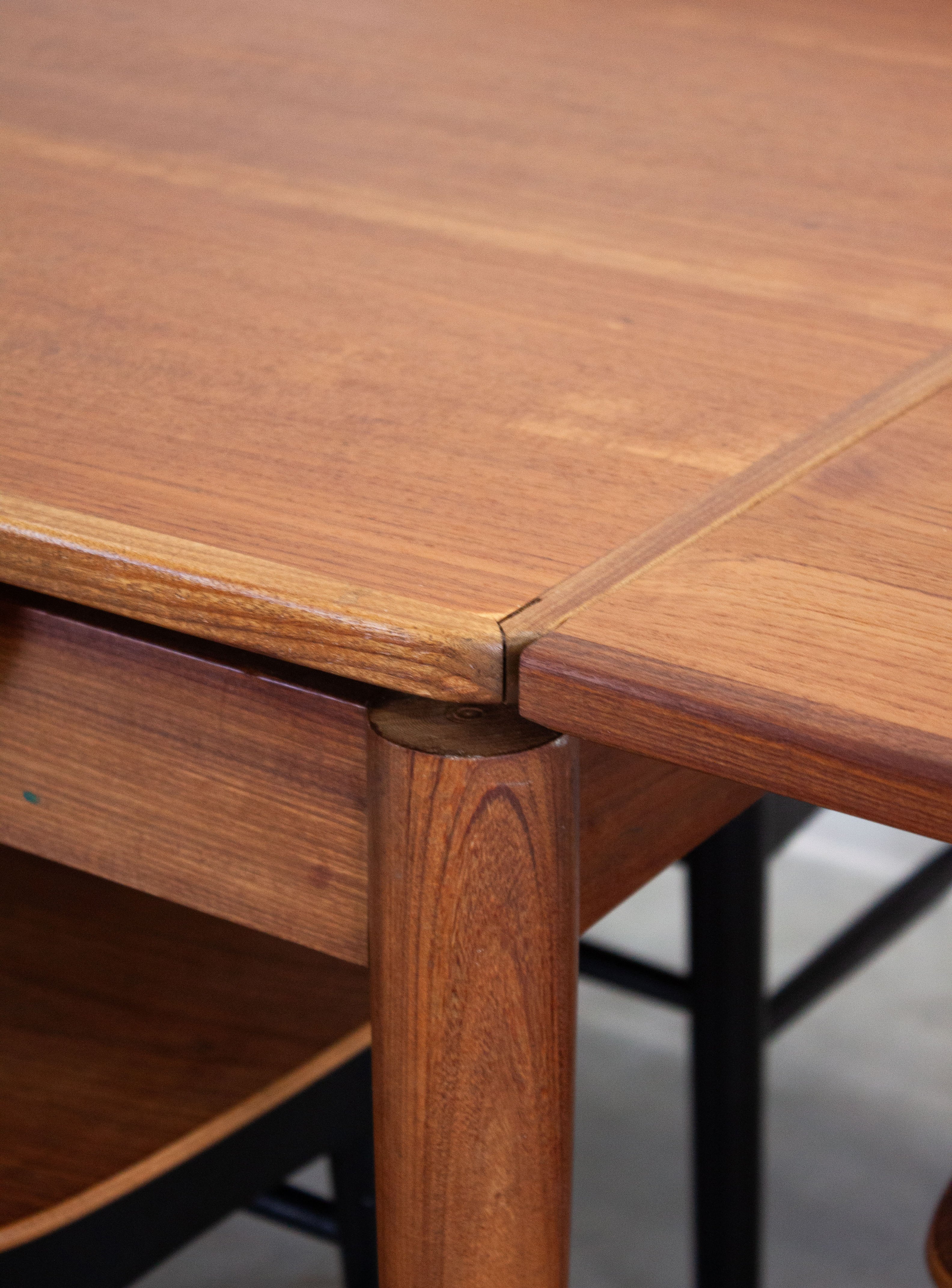 Pastoe Dining Set by Cees Braakman (Teak) - Image 21